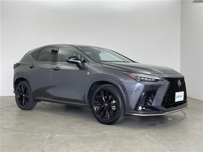 2023 Lexus NX 缩略图 41