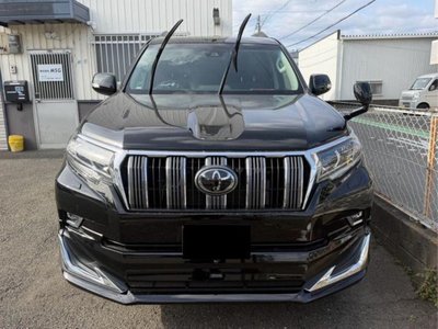 2018 Toyota LAND CRUISER PRADO 照片 2