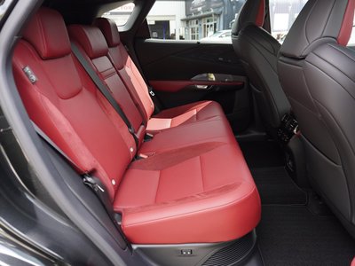 2023 Lexus RX 照片 13