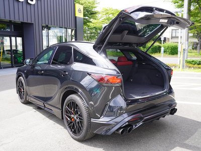 2023 Lexus RX 照片 17