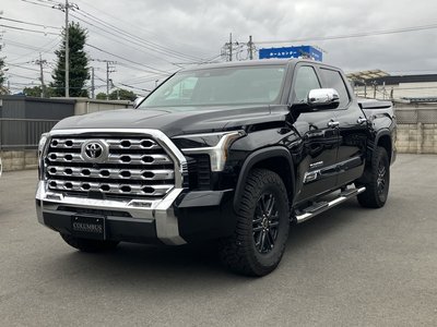 2025 Toyota TUNDRA 照片 3