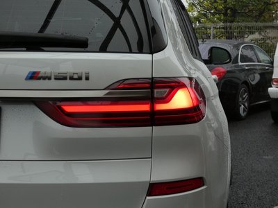 2019 BMW X7 照片 8
