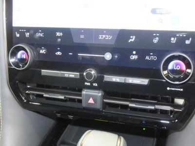 2025 Toyota ALPHARD 照片 18