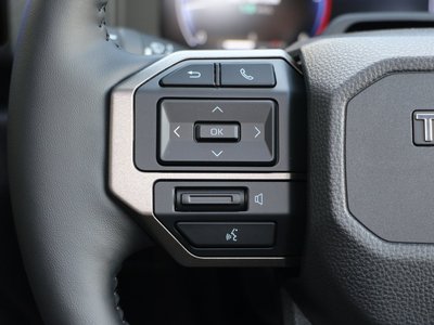 صورة مصغرة 15 لـ 2025 Toyota LAND CRUISER 250