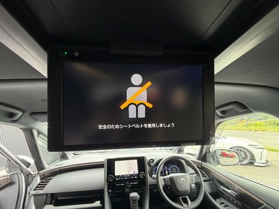 2025 Toyota ALPHARD — миниатюра 33