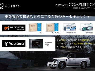 2026 Toyota ALPHARD 照片 59