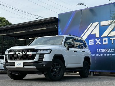 2022 Toyota LAND CRUISER 300 照片 3