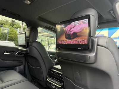 2022 Toyota LAND CRUISER 300 照片 16