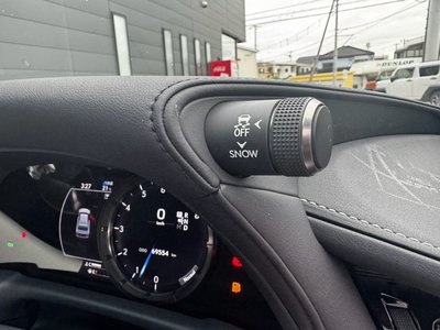 2018 Lexus LS photo 37