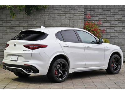 2019 ALFA Romeo STELVIO — фото 3