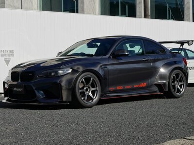2016 BMW M2 COUPE 照片 1