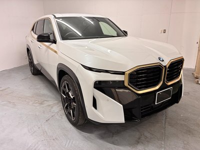 2025 BMW XM — миниатюра 3
