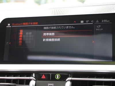 2020 BMW 4 SERIES COUPE 照片 48