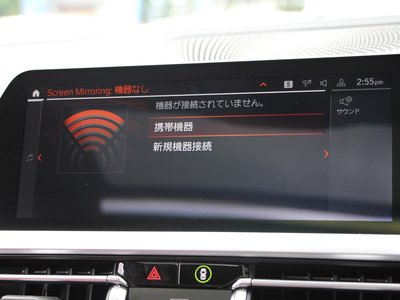 2020 BMW 4 SERIES COUPE 照片 49
