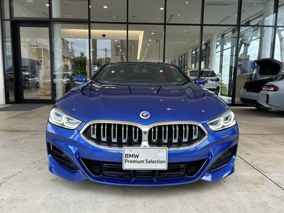 2022 BMW 8 SERIES 缩略图 54