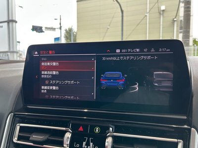 2022 BMW 8 SERIES 缩略图 43