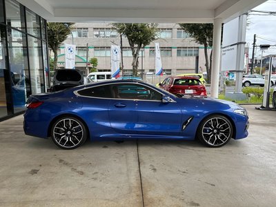 2022 BMW 8 SERIES 缩略图 56