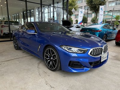 2022 BMW 8 SERIES 缩略图 55
