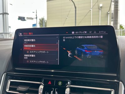 2022 BMW 8 SERIES 缩略图 44