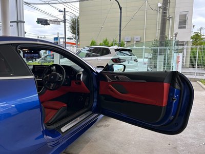 2022 BMW 8 SERIES 照片 8