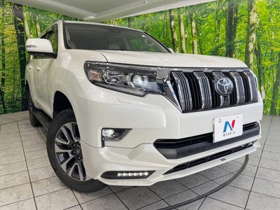 2023 Toyota LAND CRUISER PRADO — фото 13