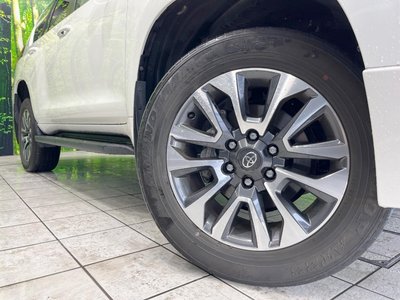 2023 Toyota LAND CRUISER PRADO — фото 14