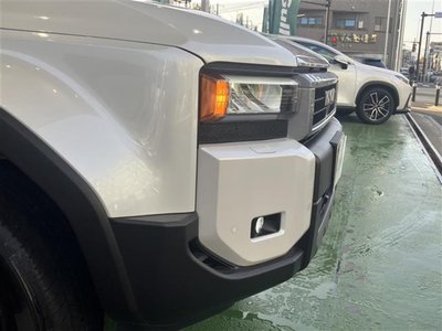 صورة 10 لـ 2025 Toyota LAND CRUISER 250