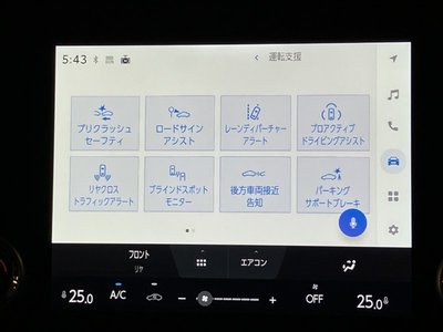 2025 Toyota ALPHARD thumbnail 17