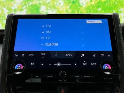 2025 Toyota ALPHARD 照片 11