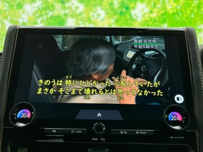 2025 Toyota ALPHARD 照片 12