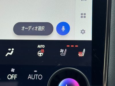 2025 Toyota ALPHARD thumbnail 40