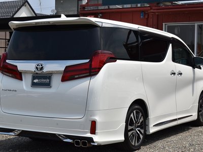 2023 Toyota ALPHARD 照片 15