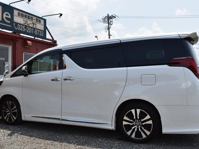 2023 Toyota ALPHARD 照片 19