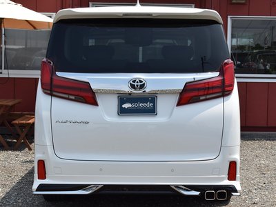 2023 Toyota ALPHARD 照片 16