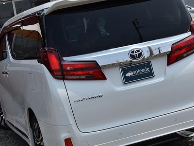 2023 Toyota ALPHARD 照片 18
