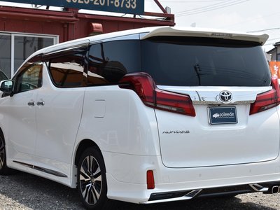 2023 Toyota ALPHARD 照片 17