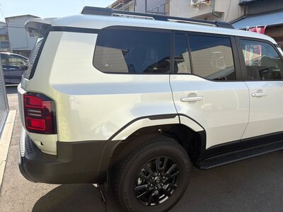 2024 Toyota LAND CRUISER 250 — фото 11