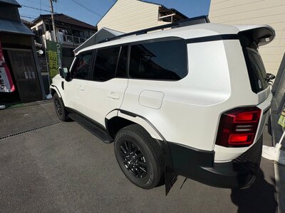 2024 Toyota LAND CRUISER 250 — фото 19