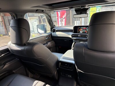 2024 Toyota LAND CRUISER 250 — фото 60