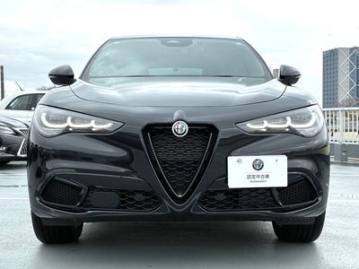 2025 ALFA Romeo STELVIO 照片 21