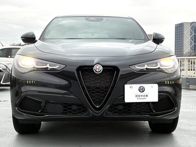 2025 ALFA Romeo STELVIO 照片 22