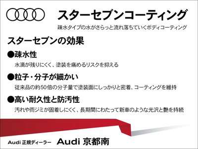 2026 AUDI Q8 — миниатюра 40