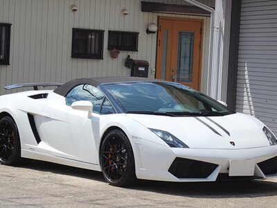 2010 Lamborghini GALLARDO SPYDER — фото 7