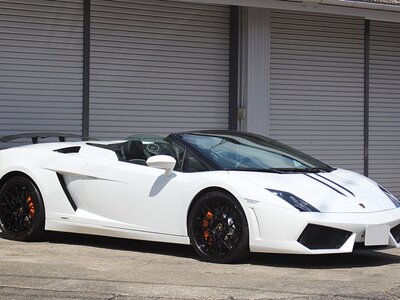 2010 Lamborghini GALLARDO SPYDER — фото 9