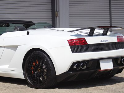 2010 Lamborghini GALLARDO SPYDER 照片 19
