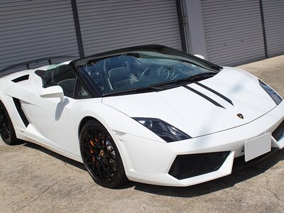 2010 Lamborghini GALLARDO SPYDER 照片 21