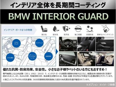 2025 BMW X2 照片 3