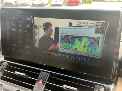 2023 Toyota LAND CRUISER 300 thumbnail 30