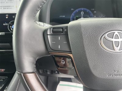صورة مصغرة 19 لـ 2025 Toyota ALPHARD
