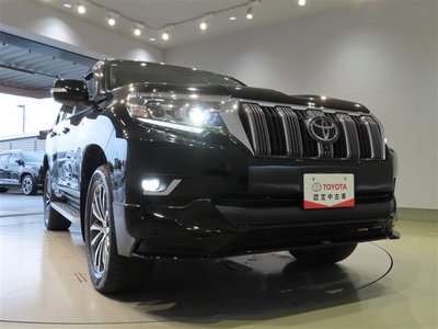 2021 Toyota LAND CRUISER PRADO 照片 43